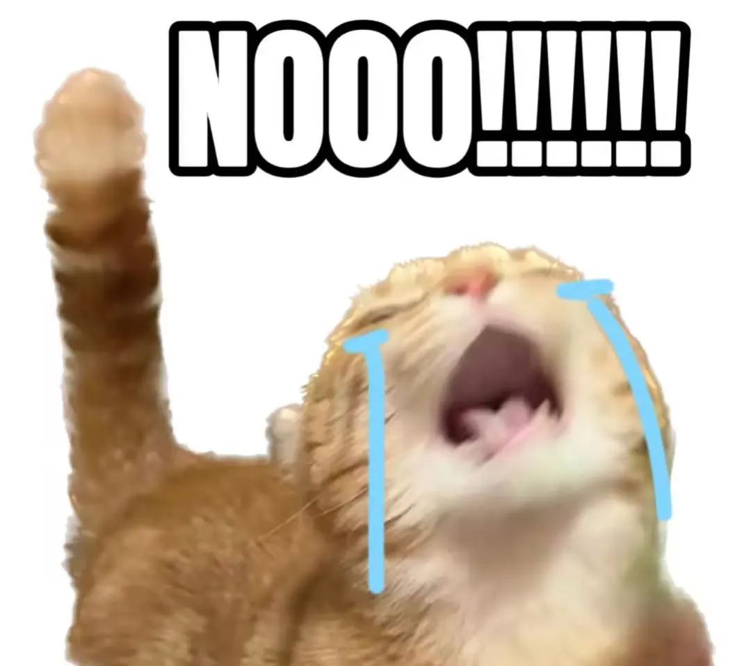 dd5cbb7fa4fec64a275bd307aae09cc.jpg