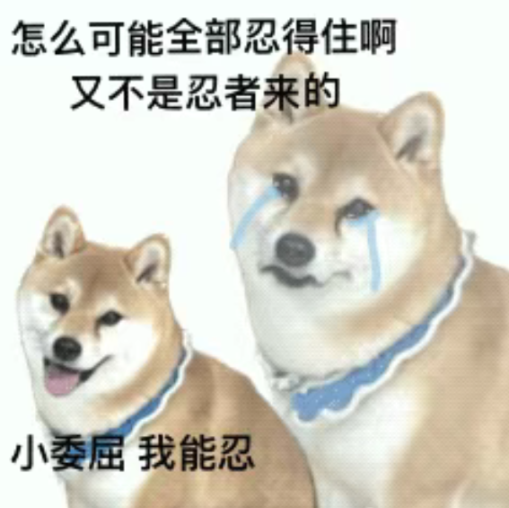 表情包2.png
