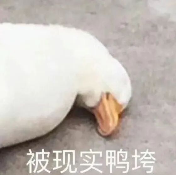 表情包2.jpg