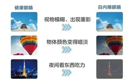 症状.jpg