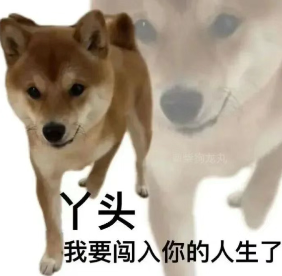 表情包1.png