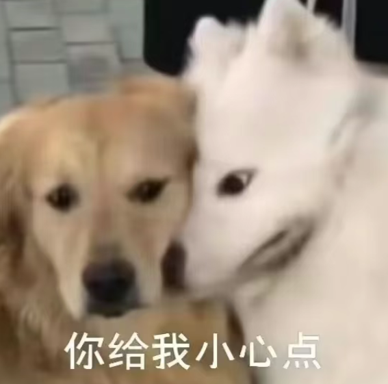 表情包2.png